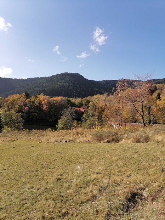 Продава се Парцел в Смолян, Езерово - 1080 кв.м за 31 €/кв.м - Снимка #21