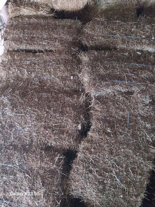 Vând paie baloți, și trifoi  baloți.