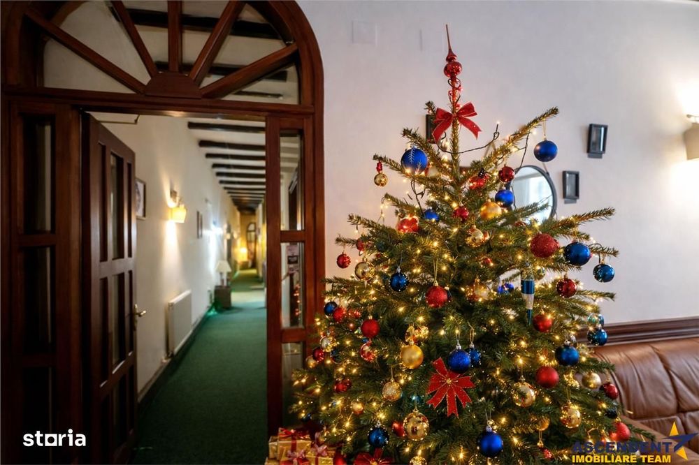 Preluare afacere pensiune administrare in regim turistic, Centrul Isto