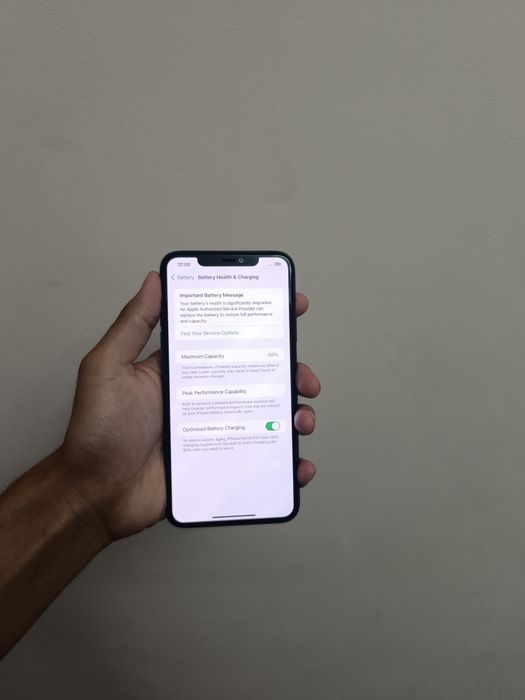 Iphone 11 pro max (256 gb)