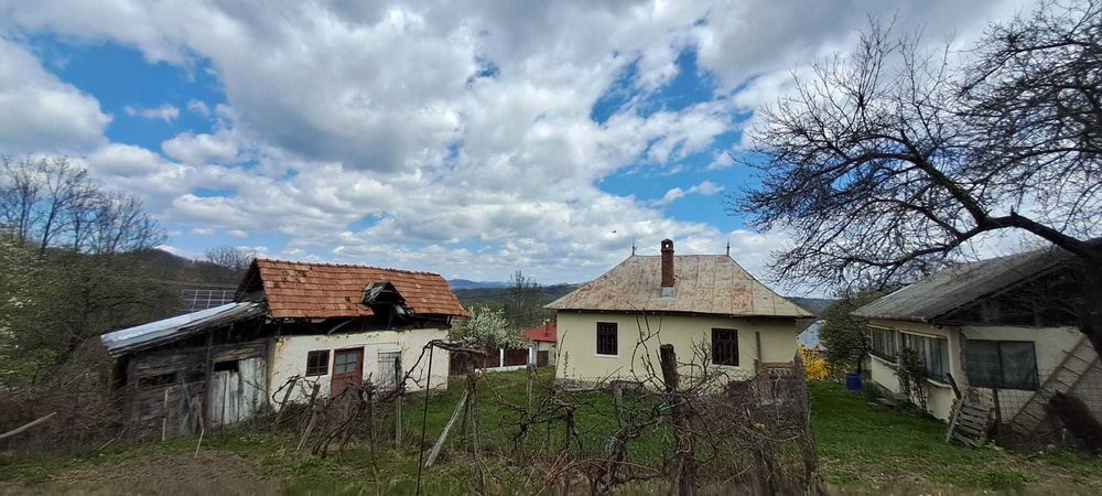 Proprietar, vand 2 case pe un picior de Plai, cu priveliste superba, in Provita de Sus, Prahova