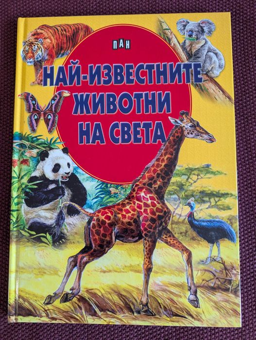 Детски енциклопедии - роботика, програмиране, животни