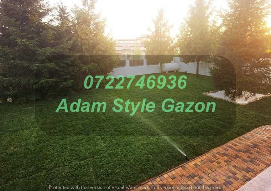 Gazon Verde Natural pentru Orice Proprietate
