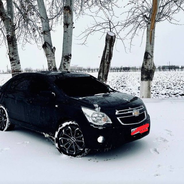 cobilt r 17 diska radnoyga admen