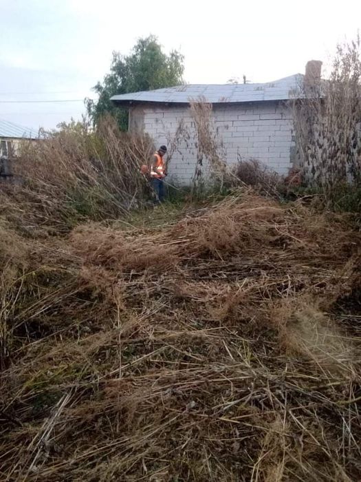 Defrișări/Cosit Iarbă/Tăiere Arbori/De Mari Dimensiuni.