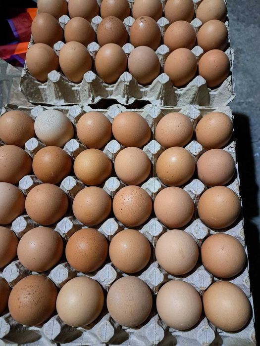 Oua de găină de la tara