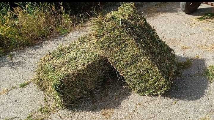 Бали люцерна и сено.