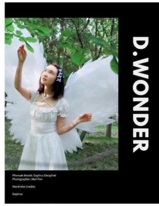 Продам крылья Астана