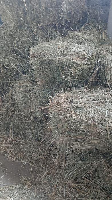 Продаётся Сена пресс