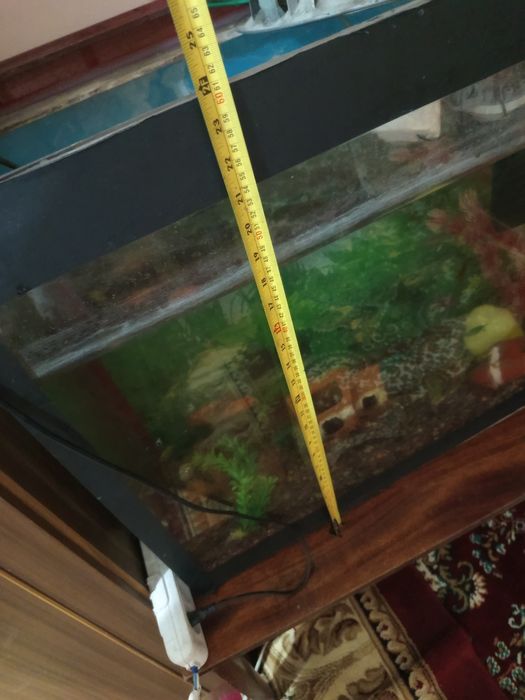 Аквариум сотилади баликлари билан