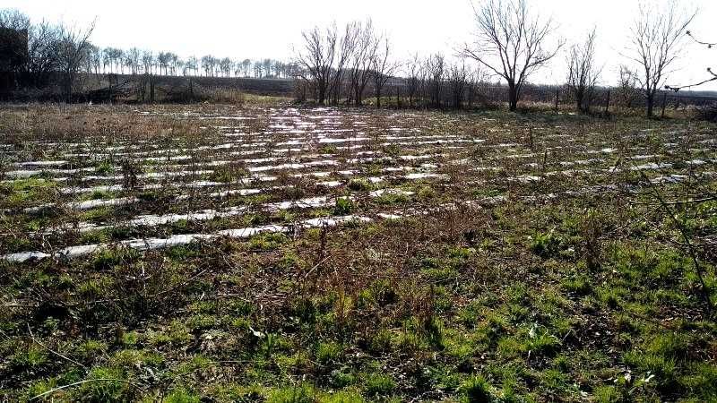 Продава се Къща в с. Селце, Област Добрич - 173 кв.м за 145 €/кв.м - Снимка #3