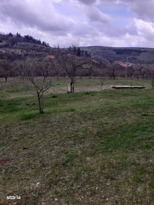 Teren intravilan 6.000 mp, Suceagu – zona linistita, aproape de