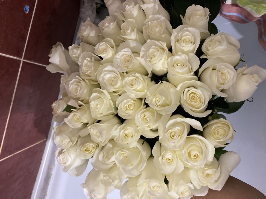 51 роза сатылады