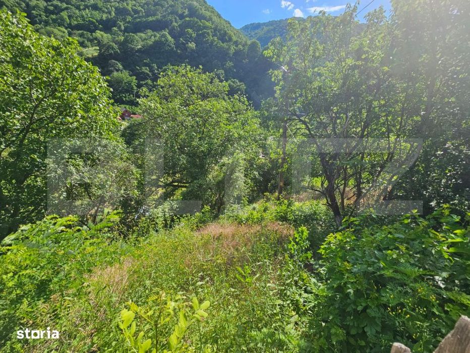 Casa traditionala - o investitie cu potential de dezvoltare, Capalna,