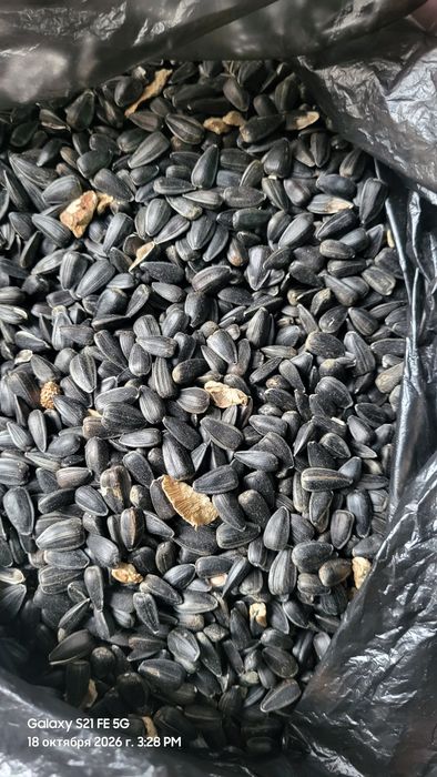 Продам семечьки колибровка