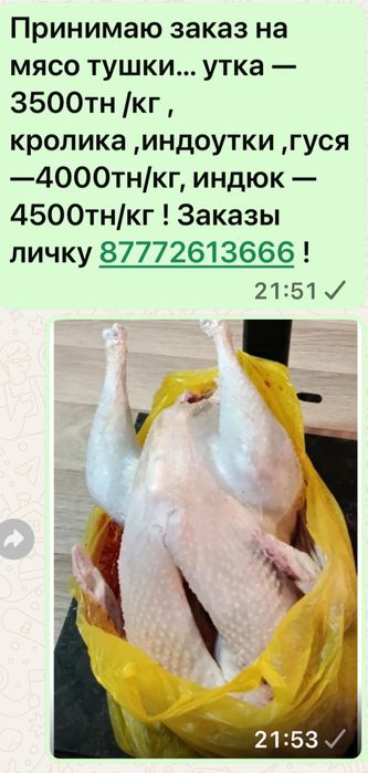 Продаю мясо птицы и кроликов