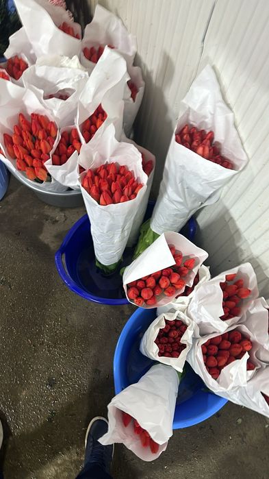 Тюльпан оптом и розницу. есть в наличии