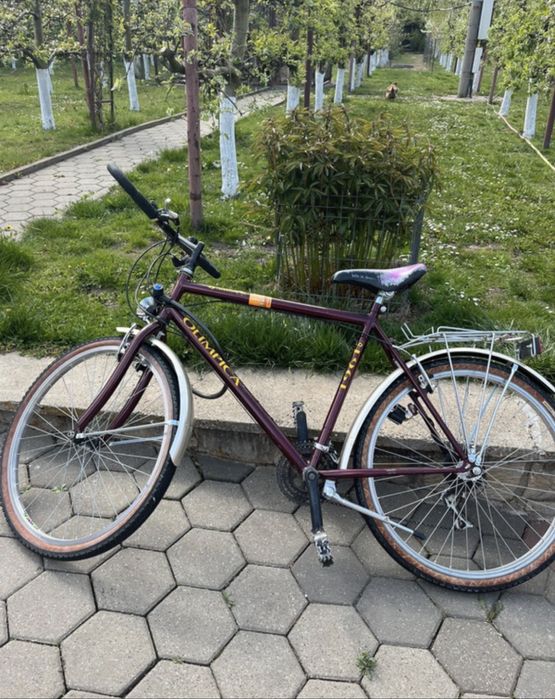 Cursieră Shimano- Cauciucuri Michelin( Adevrență maximă)