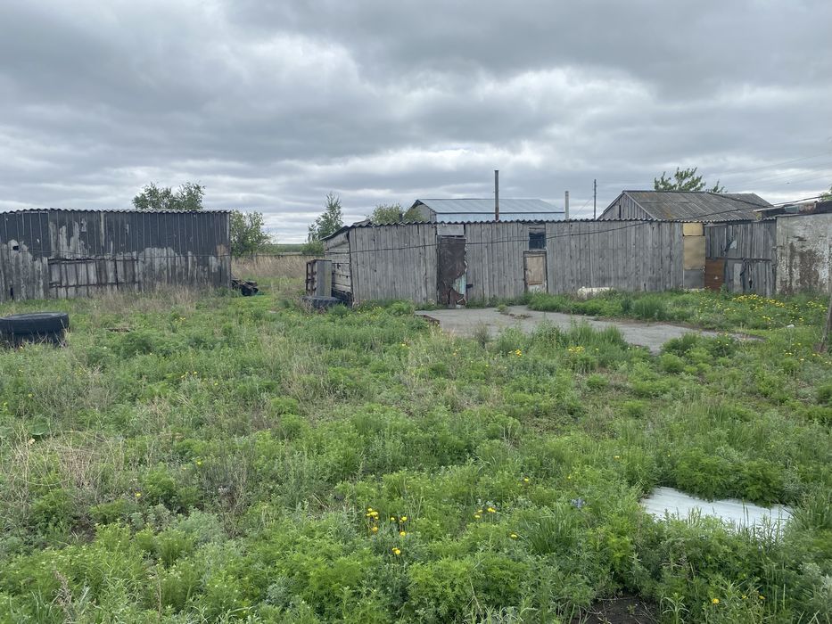 Дом в с Перцевка