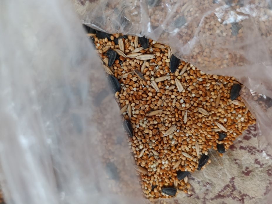 Корм для птиц, попугаев