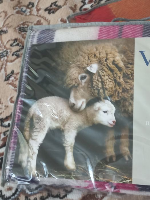 Из шерсти новозеландской овцы плед!