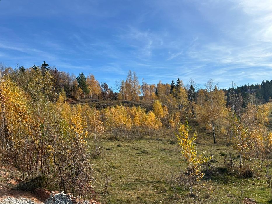 vând teren in Călățele Padure