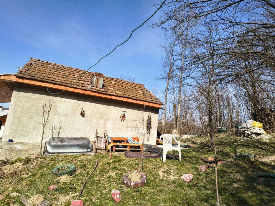 Vânzare casa la tara