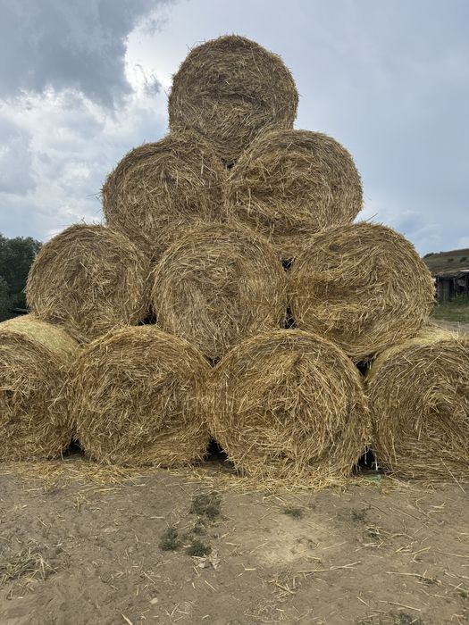 Vând baloți paie