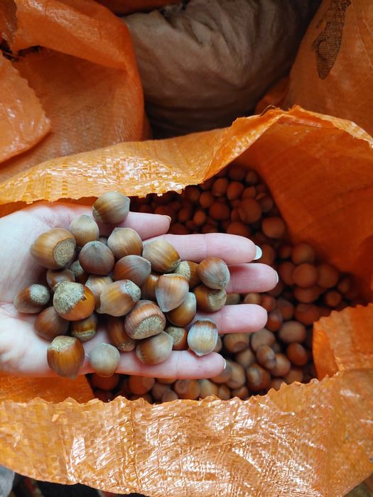 Продавам  лишници