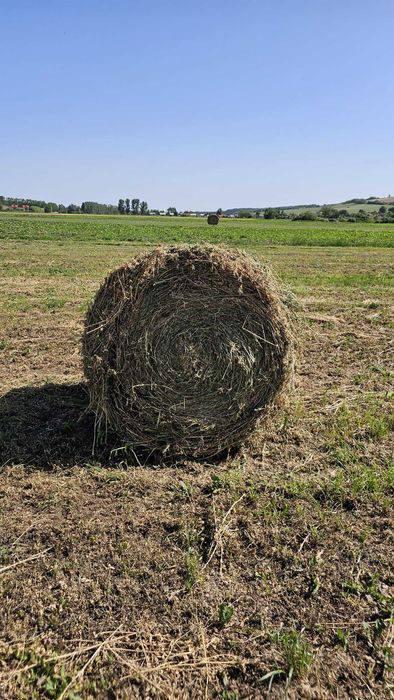 Balot rotund de lucerna 120/120 de vanzare