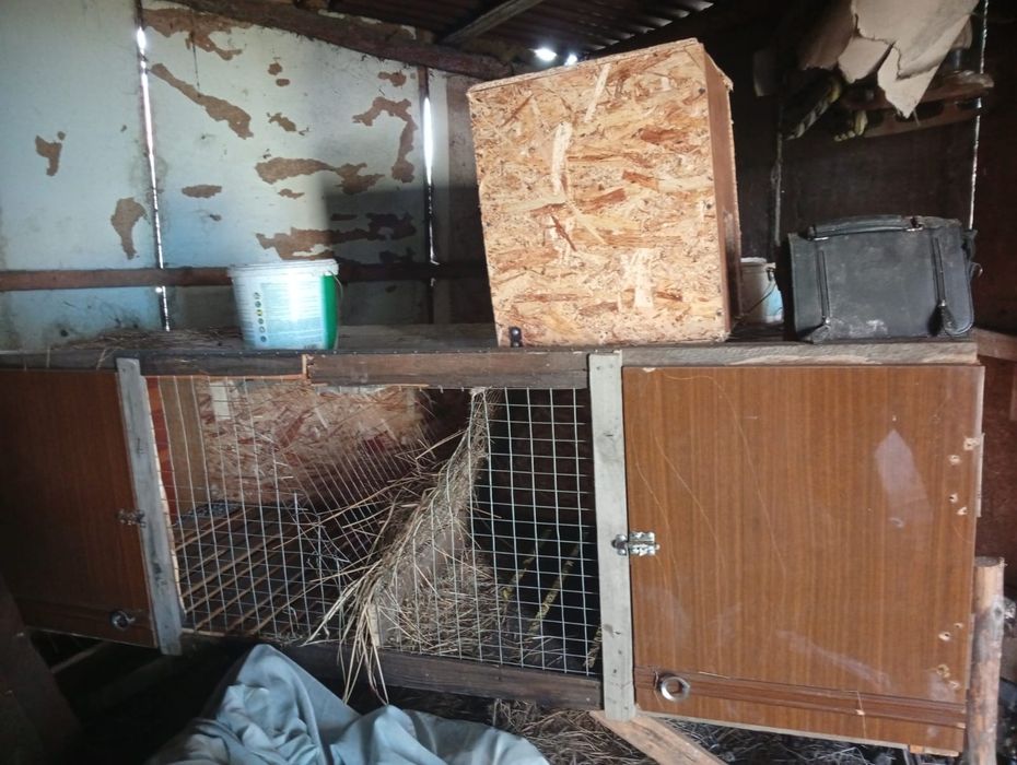 Продам яшик для кроликов