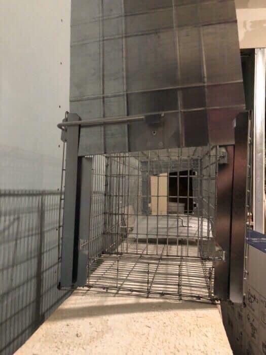 Capcana vulpi cu doua intrari -140 cm