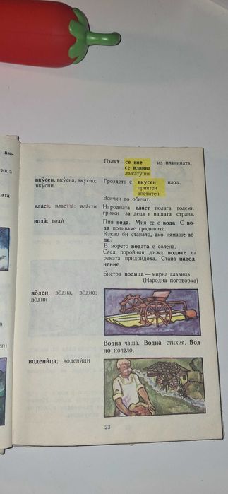 Старинен картинен речник за първокласници твърци корици