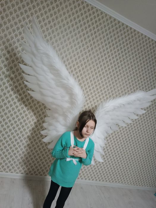 Веер диодный под заказ