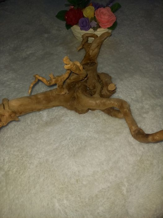 Каряга корень дерево для аквариума/koryaga daraxt ildizi akvarum uchun