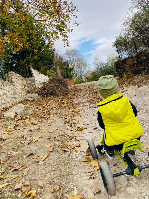 Kart copii Berg revizie facuta/ reuns/ curatat