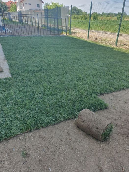 Gazon rulou sport calitate