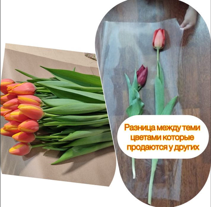 Тюльпаны по очень выгодным ценам