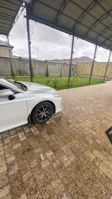 Газон Автополив Рулон Газон