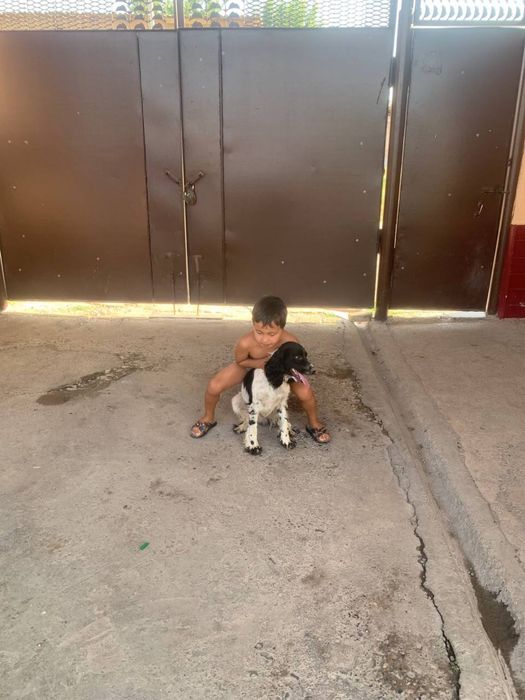 2 руский спанель