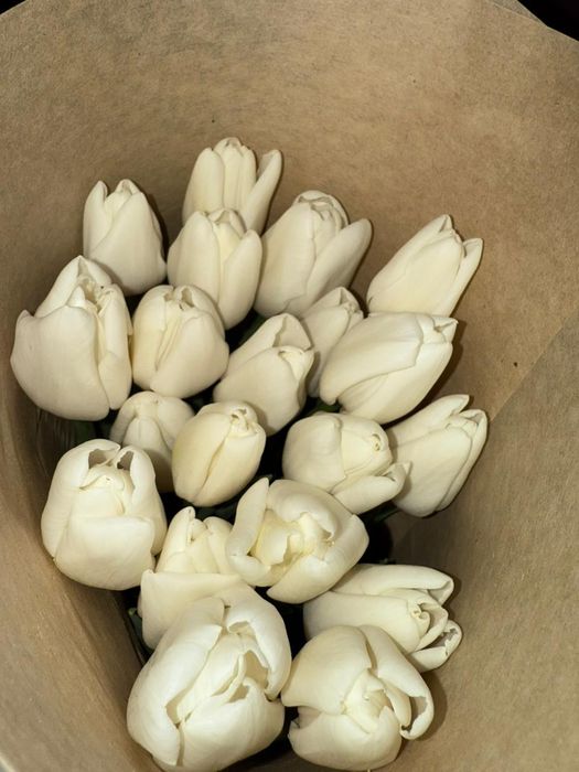 Тюльпаны к 8 марта