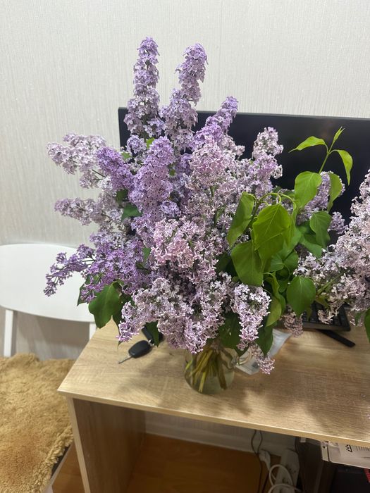 Букет сирени шикарный