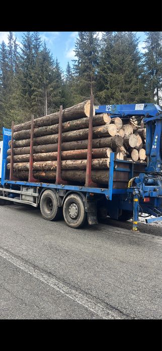 Scania R L   124    Cu macara