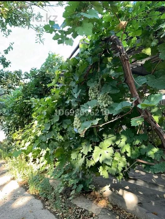 Продается отдельный дом