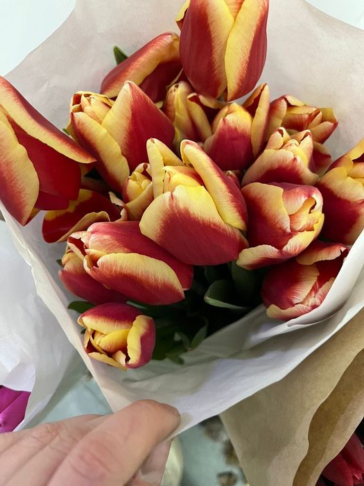 Букет красивых тюльпанов