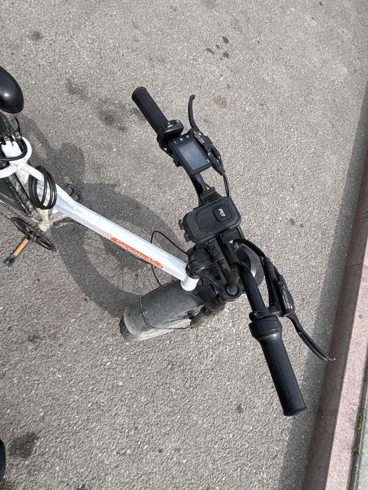 Леопард срочна сату керек