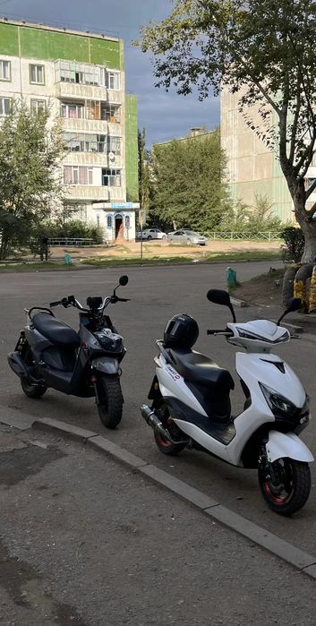 Момед самурай 1 поколение