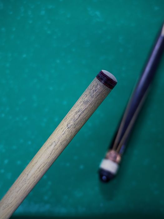 Кий Николаенко Тюльпан Изумруд