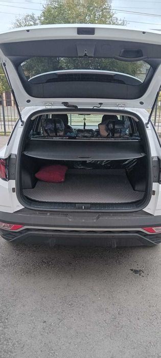 обмен на коров телок