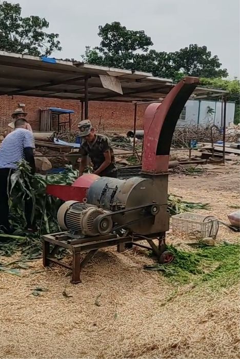 Драбилка Жоди Ут маудалагич